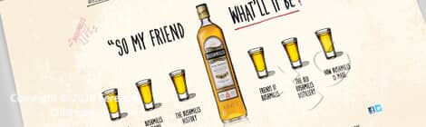 Portfolio: Bushmills brand site, mobile site, Facebook App